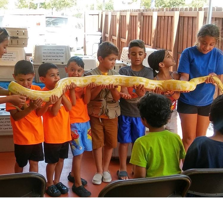 Petting Zoo